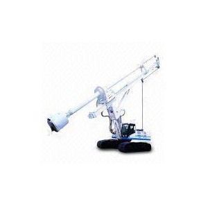 Rotary drilling rig