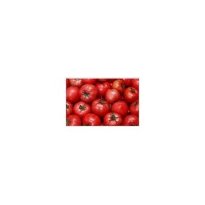 Tomato Color( Lycopene)