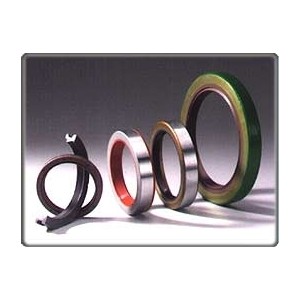 Oil Seal - Automotive