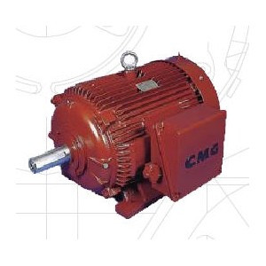 Electric Motor