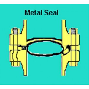 Metal Seal