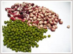 Grinding Machine图2