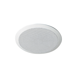 Ceiling-Mounted Speaker