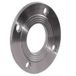 Raise Face Flange