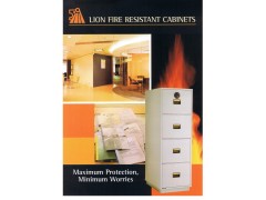 Lion Fire Resistant Cabinets图2