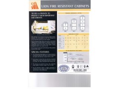 Lion Fire Resistant Cabinets图3