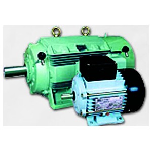 Industrial Motor & Inline Pump