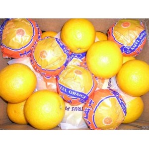 Fresh Valencia Orange