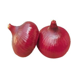 onion