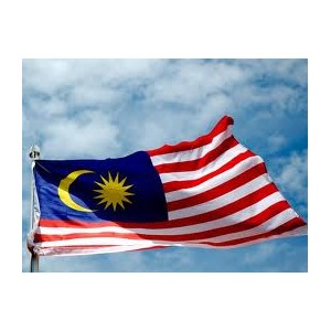 flag malaysia