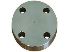 Flat Face Flange图2