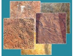 Iron Oxide / Rutile TiO2 and Anti Sagging Additive图3