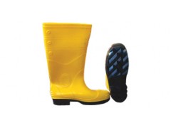 Picasaf Wellington Boot图2