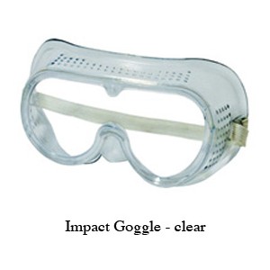 Goggle