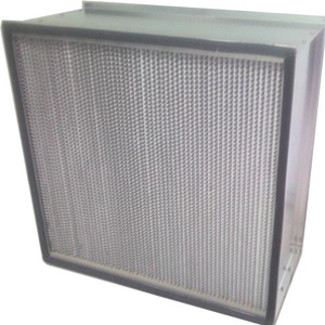 Standard Hepa Filter