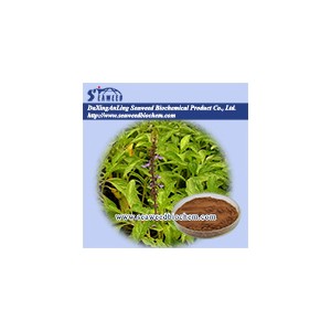 Coleus forskohlii (Willd.) Briq. Extract