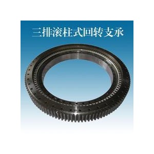 SlewingSwing Bearings for Tadano Cranes (TR250M-4)