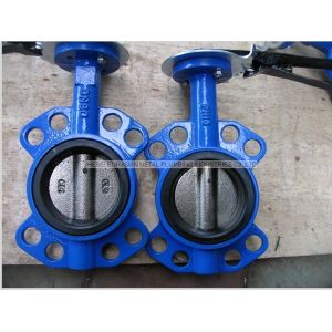 Cast Iron Wafer Butterfly Valve