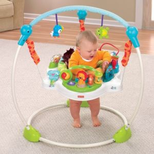 Fisher Price Precious Planet Blue Sky Jumperoo