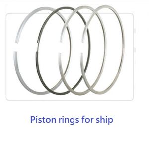 Ship Piston rings for TA TOONG WANG