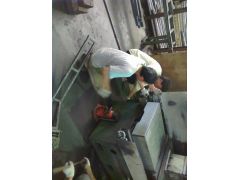 Professional Mover图3