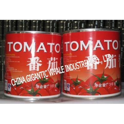 3KG/TIN Tomato Paste 28-30% BRIX 2012 CROP
