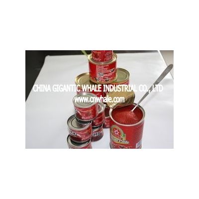 Tomato Paste 70g/Tin 28-30% BRIX