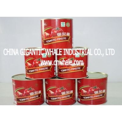 5,  140g/tin double concentrated canned tomato paste with 28-30% BRIX