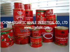 5,  140g/tin double concentrated canned tomato paste with 28-30% BRIX图2