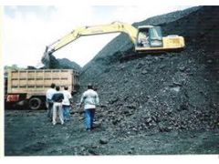 INDONESIA STEAM COAL图2