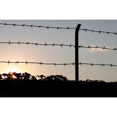 high quality razor barbed wire mesh