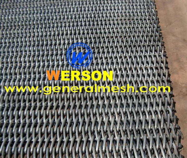 mesh belt conveyor 31