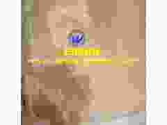 China 8-400 mesh Phosphor bronze wire mesh ,Phosphor bronze wire cloth图3