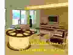 decorative LED rope lighting, holiday Christmas strip light, tape and belt light, RGB LED ribbon图2