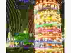 decorative LED rope lighting, holiday Christmas strip light, tape and belt light, RGB LED ribbon图3