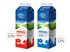 Fully Automatic Double-Head Gable-Top Carton Filling Machinery (BW-4000)图2