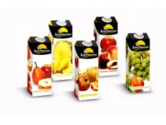 Fully Automatic Double-Head Gable-Top Carton Filling Machinery (BW-4000)图3