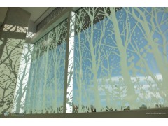Frosted Film For Glass Table & Window Glass图2