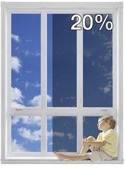 window_film_commercial_window_film_natural_20_01___66404.1371744600.200.244