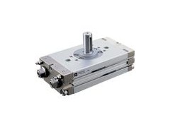 Rotary Actuator图3
