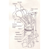 Air Compressor Oil (Mineral Oil Base) (MXS 640 ACO-MO)