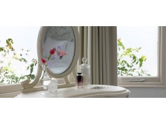 Frosted Patterns cut into Window Films图2