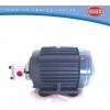 hydraulic motors