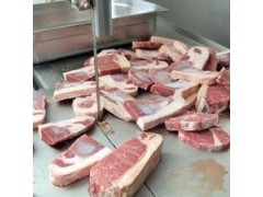 Bone saw(table top)图3