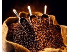 Coffee Grinder Machine图3