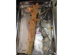 Tongkat Ali Slicer / Slicer Machine图2