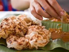 Roti Canai Mixer图2