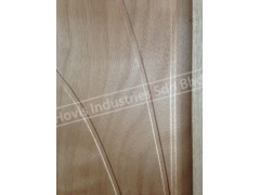 Door Panel AD033图3