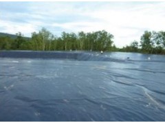 LDPE plastic sheet图2