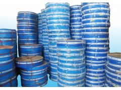 SUNNY HOSE TAKATA (JAPAN)图3